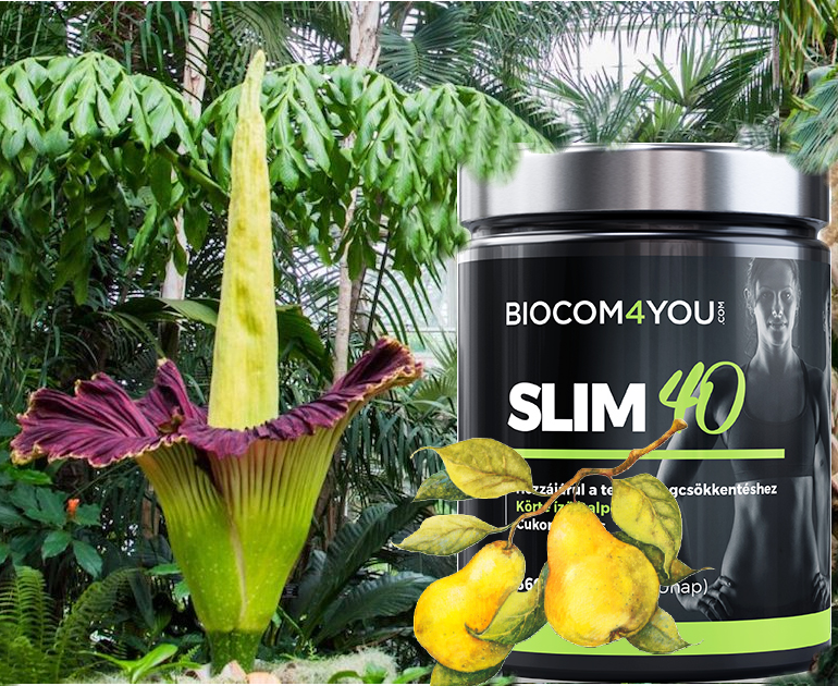 SLIM 40 - Változzunk! | SLIM 40 fogyókúrás termék, Reg-Enor étrend-kiegészítő
